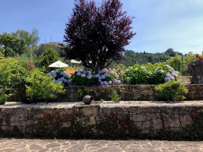 Moradia T7 para Venda em Caniçada e Soengas Foto 24