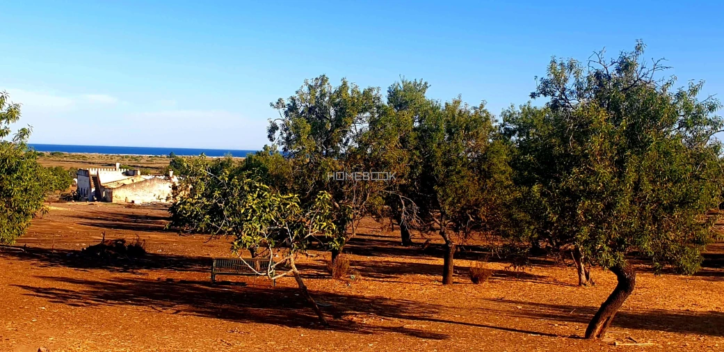 Quinta T6 para Venda em Santa Luzia