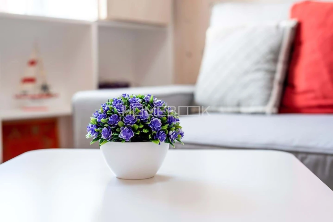 Apartamento T1 para Venda em Santa Maria Maior Foto 4