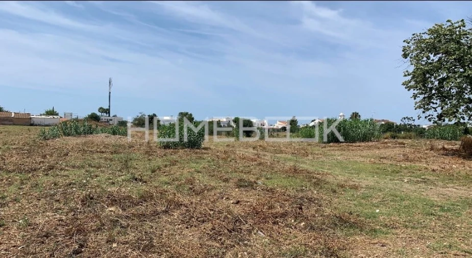 Terreno para Venda em Conceição e Cabanas de Tavira Foto 4