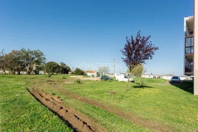 Terreno para Venda em Quinta do Anjo
