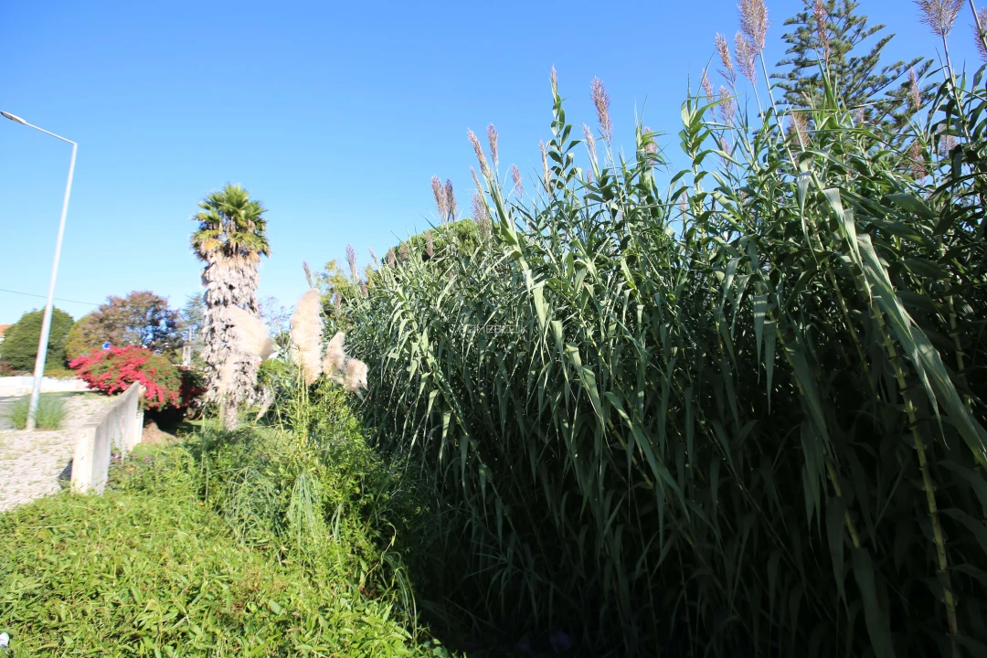 Terreno para Venda em Rio de Mouro Foto 9