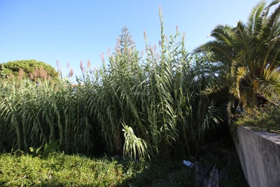 Terreno para Venda em Rio de Mouro