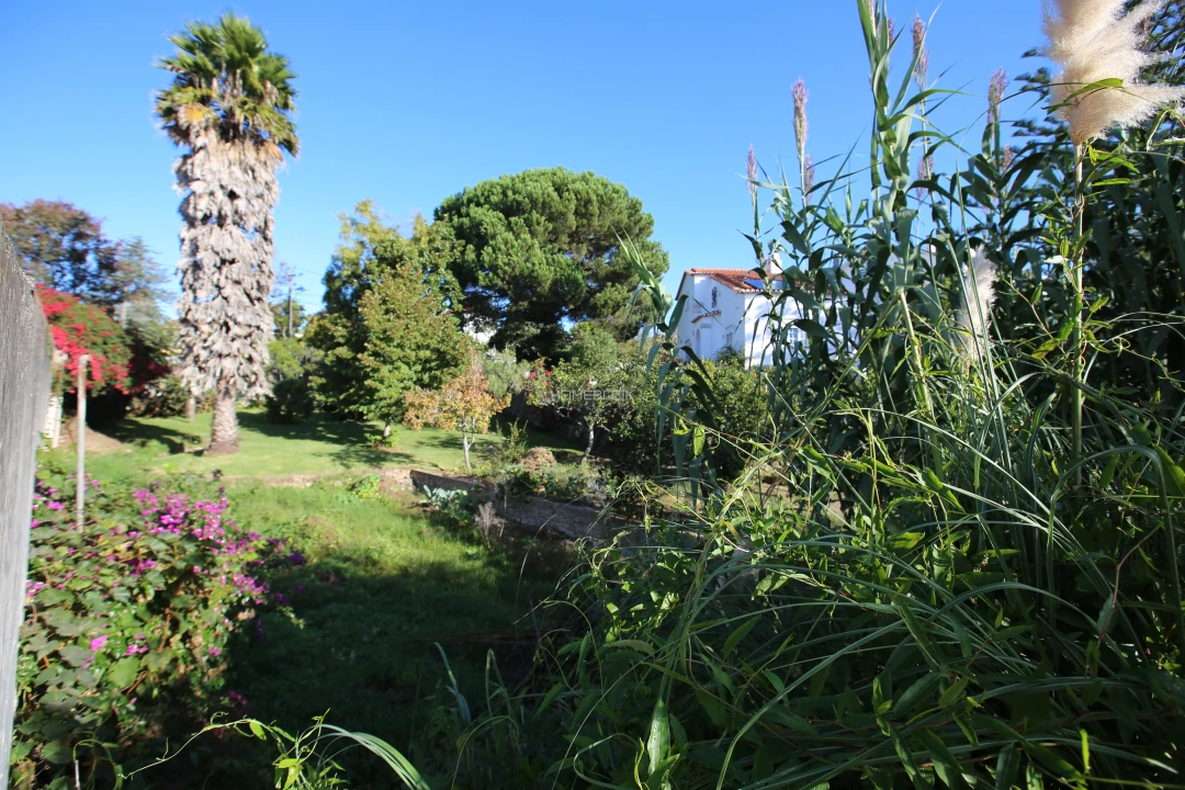Terreno para Venda em Rio de Mouro Foto 11