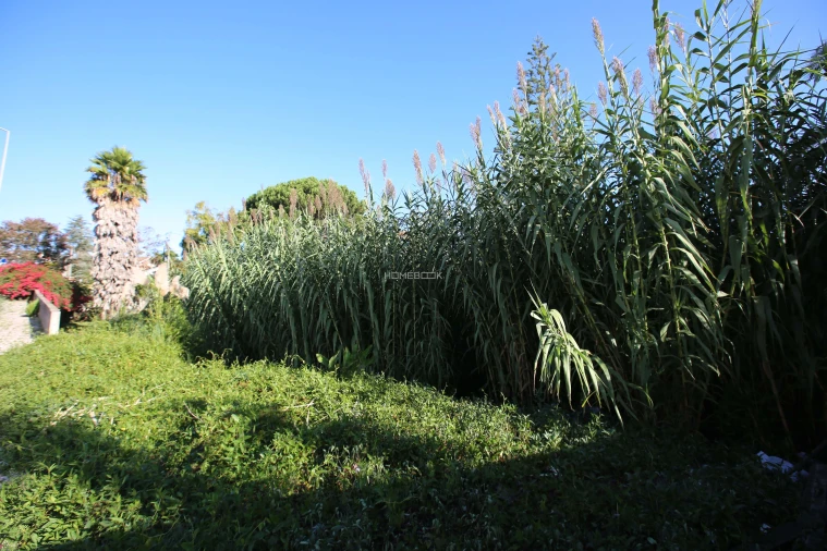 Terreno para Venda em Rio de Mouro Foto 14