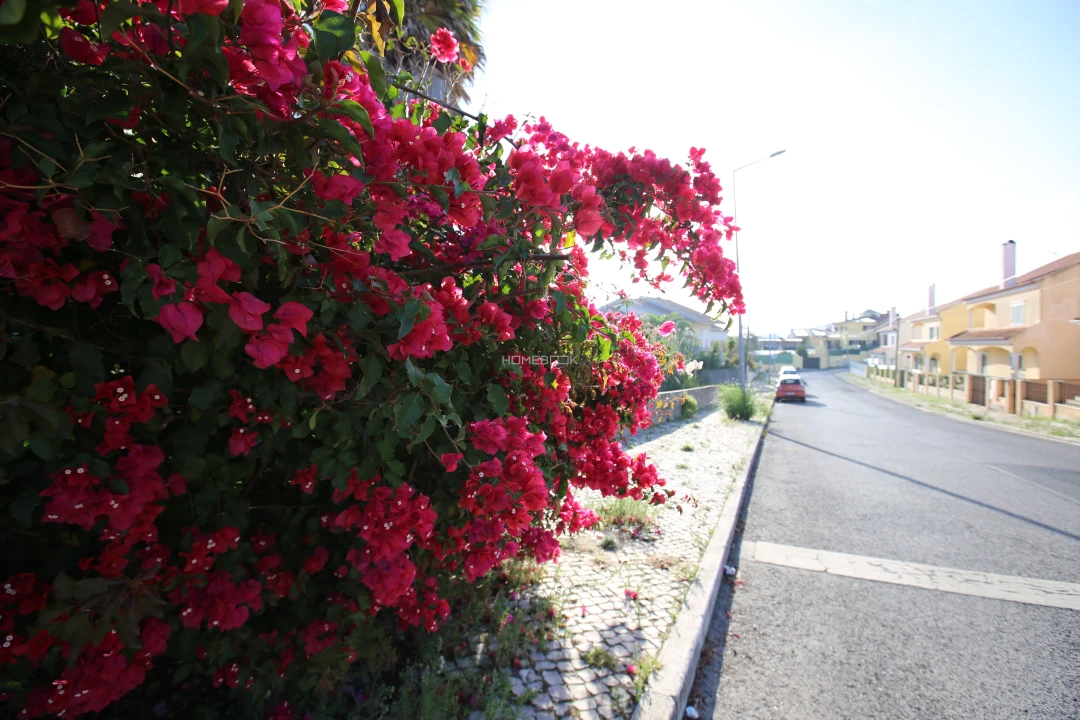 Terreno para Venda em Rio de Mouro Foto 3