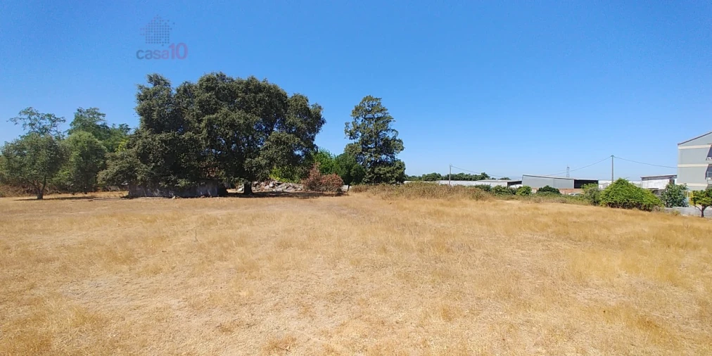 Terreno para Venda em Atalaia e Alto Estanqueiro-Jardia Foto 3
