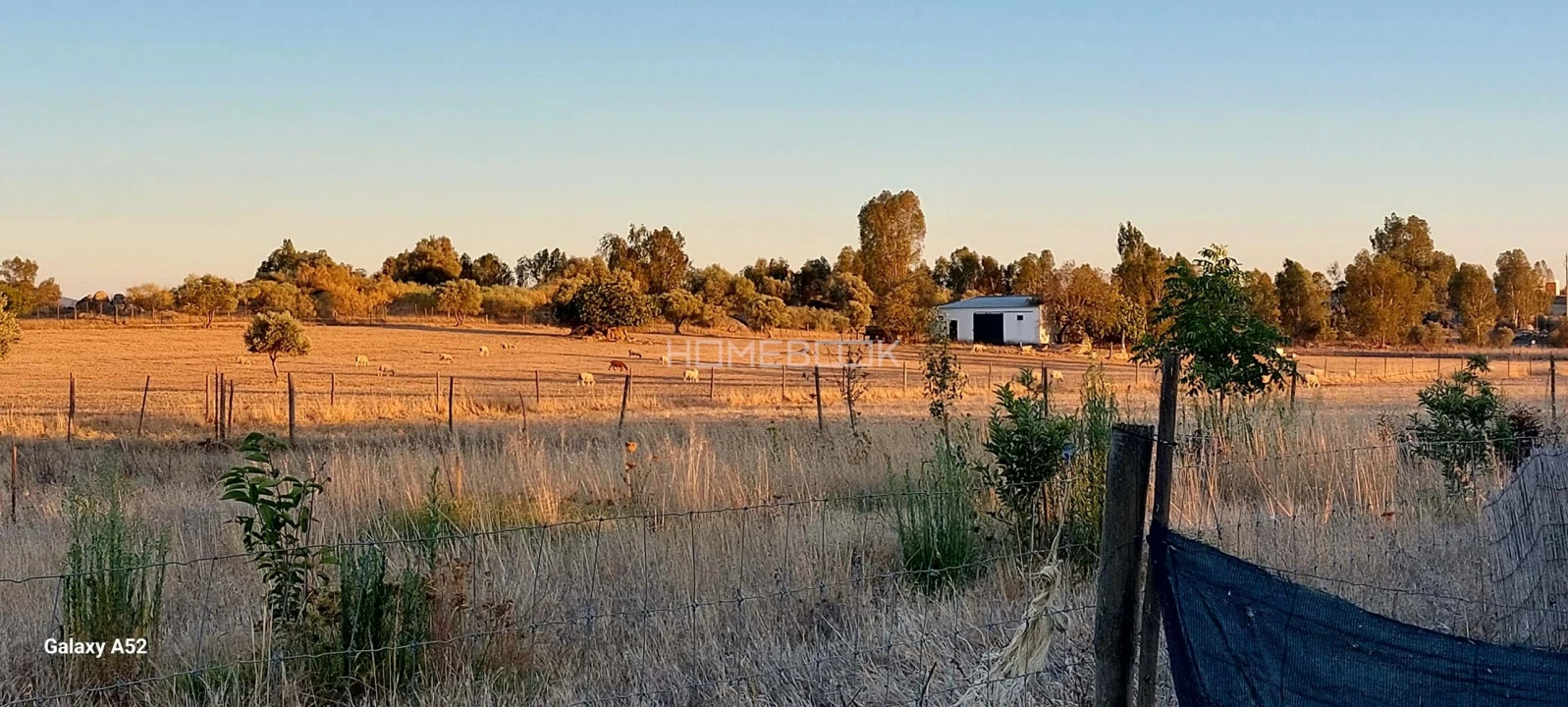 Quinta T3 para Venda em São Manços e São Vicente do Pigeiro Foto 7