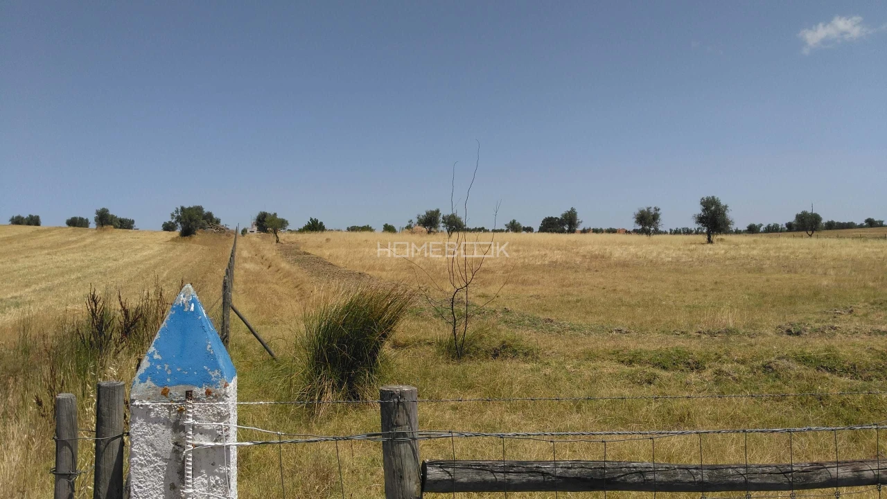 Quinta T3 para Venda em São Manços e São Vicente do Pigeiro Foto 29