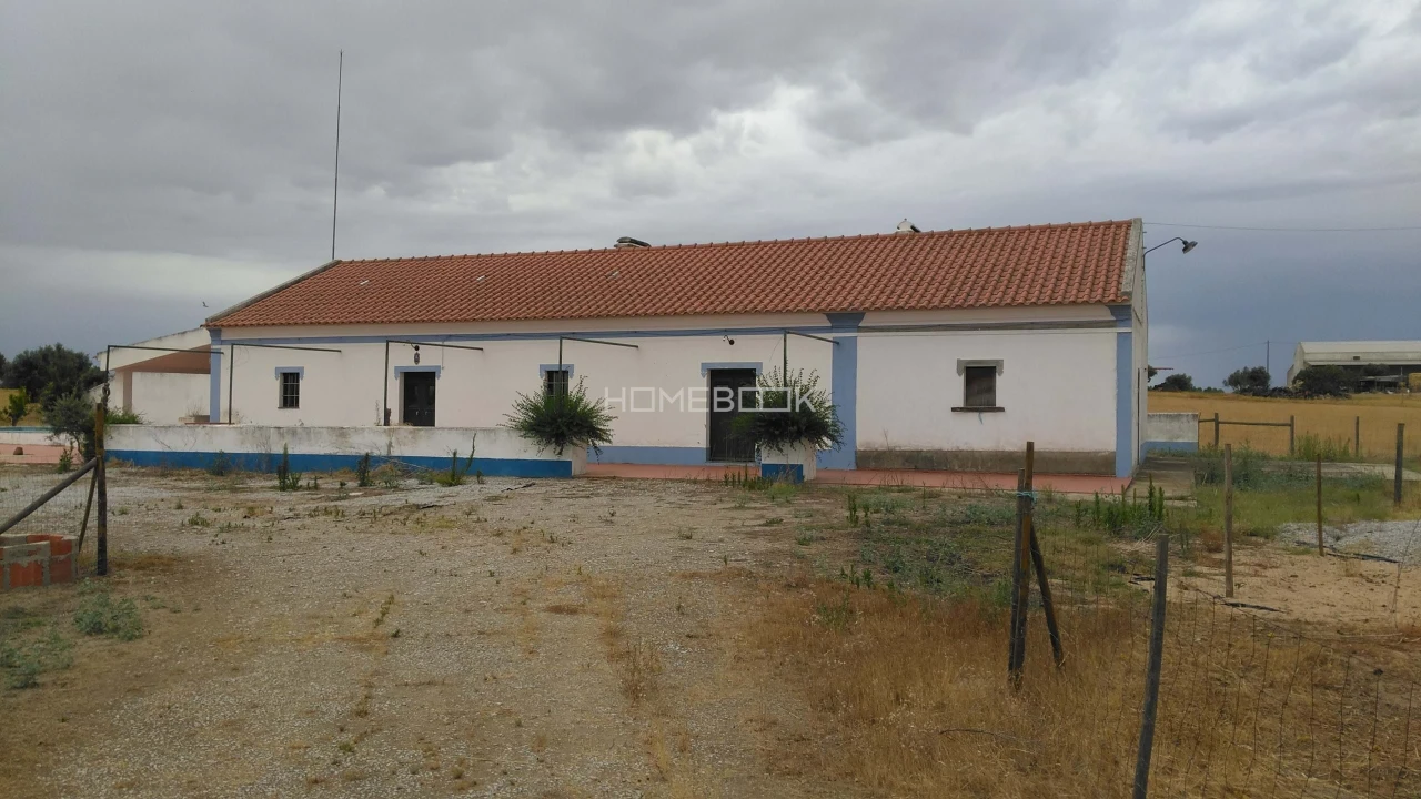 Quinta T3 para Venda em São Manços e São Vicente do Pigeiro Foto 32