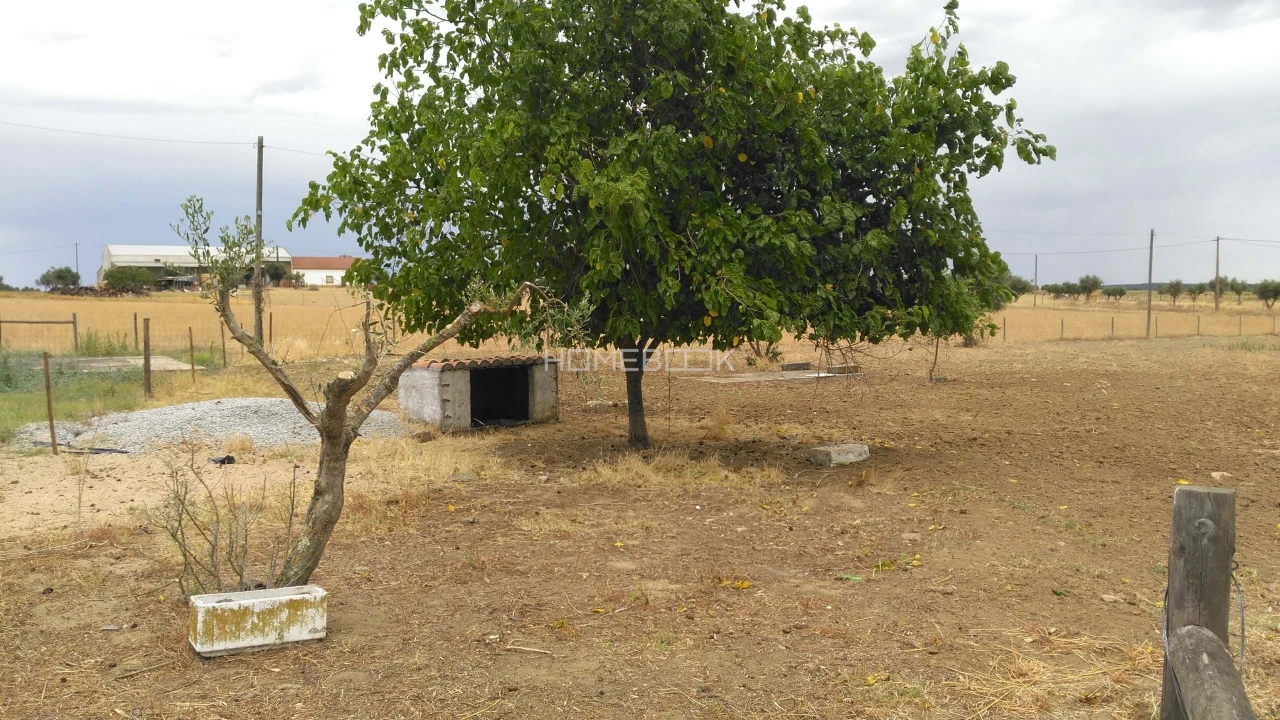 Quinta T3 para Venda em São Manços e São Vicente do Pigeiro Foto 23
