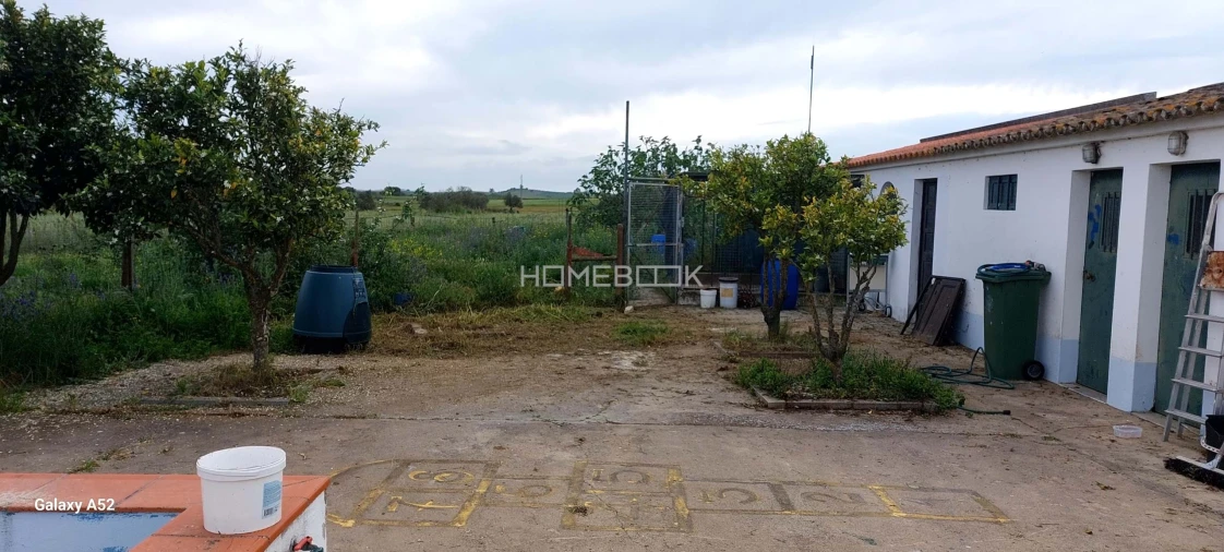 Quinta T3 para Venda em São Manços e São Vicente do Pigeiro Foto 14