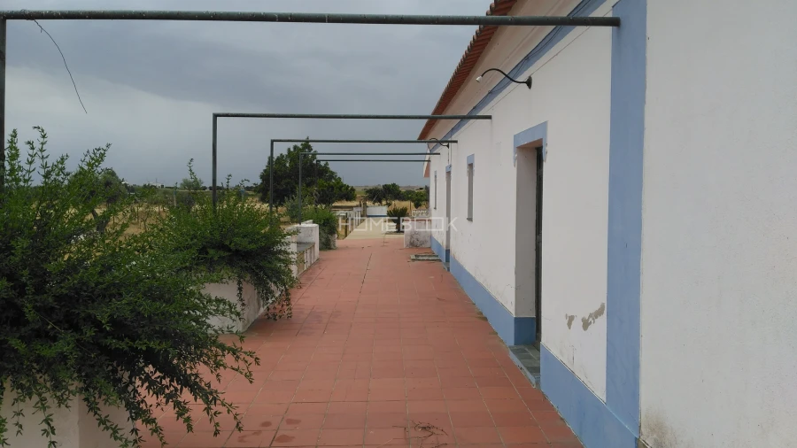 Quinta T3 para Venda em São Manços e São Vicente do Pigeiro Foto 24