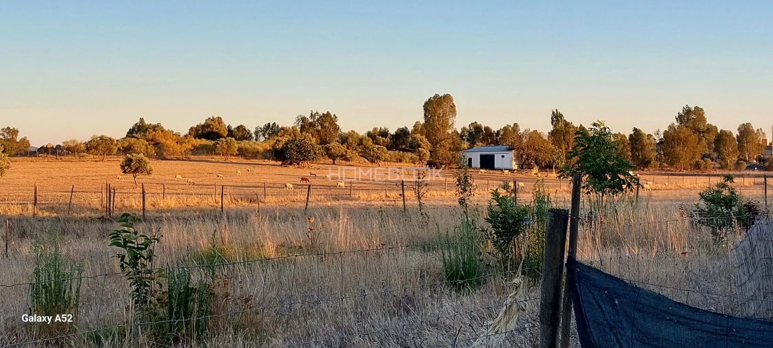 Quinta T3 para Venda em São Manços e São Vicente do Pigeiro Foto 7