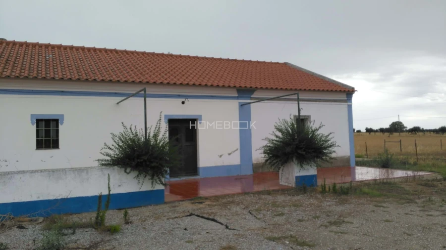 Quinta T3 para Venda em São Manços e São Vicente do Pigeiro Foto 27