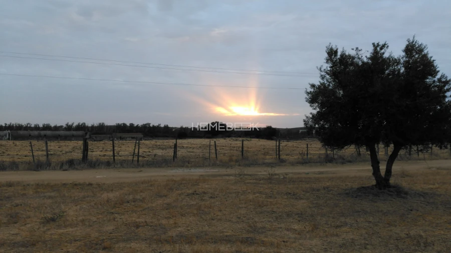 Quinta T3 para Venda em São Manços e São Vicente do Pigeiro Foto 30