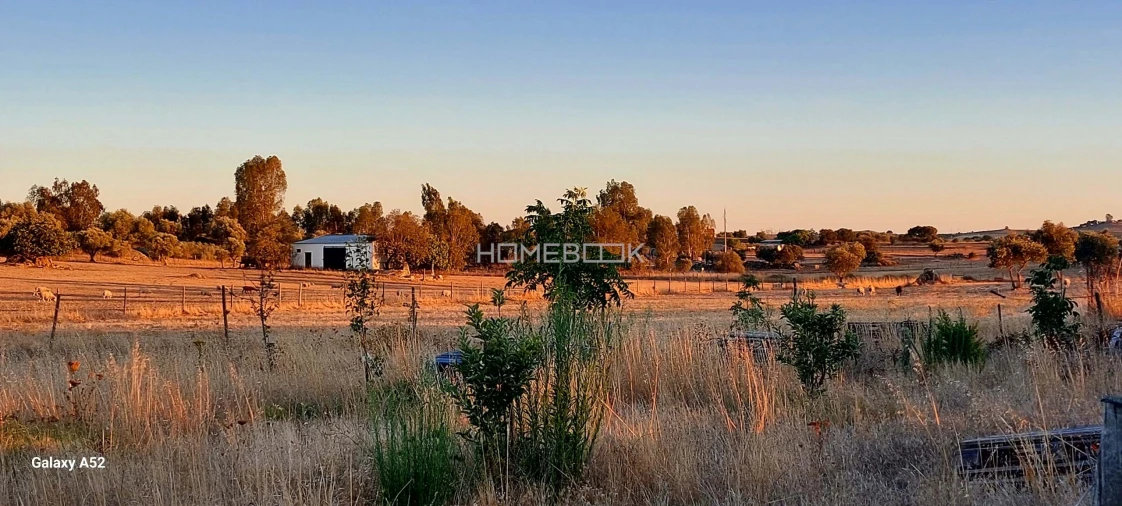 Quinta T3 para Venda em São Manços e São Vicente do Pigeiro Foto 8
