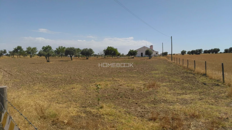 Quinta T3 para Venda em São Manços e São Vicente do Pigeiro Foto 28