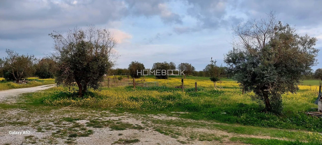 Quinta T3 para Venda em São Manços e São Vicente do Pigeiro Foto 12