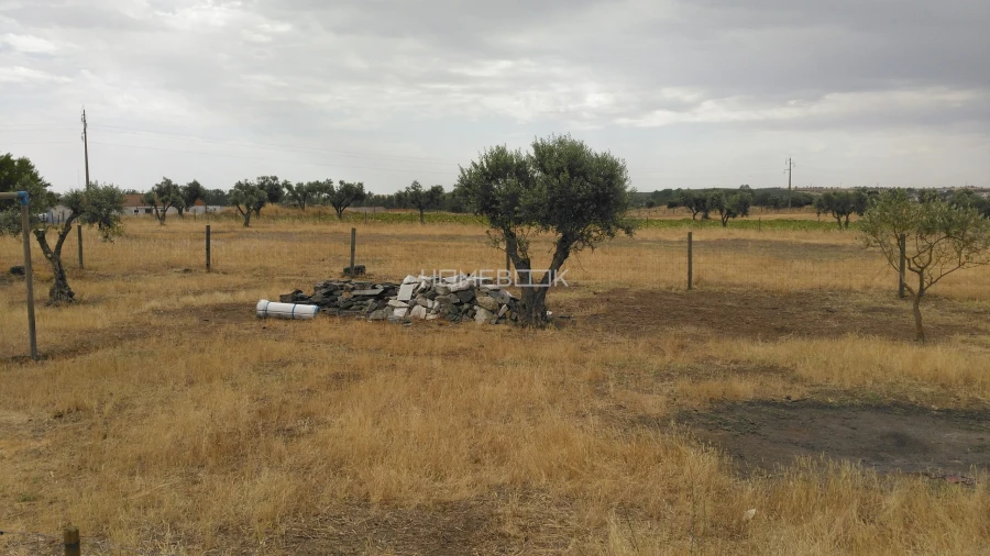Quinta T3 para Venda em São Manços e São Vicente do Pigeiro Foto 26
