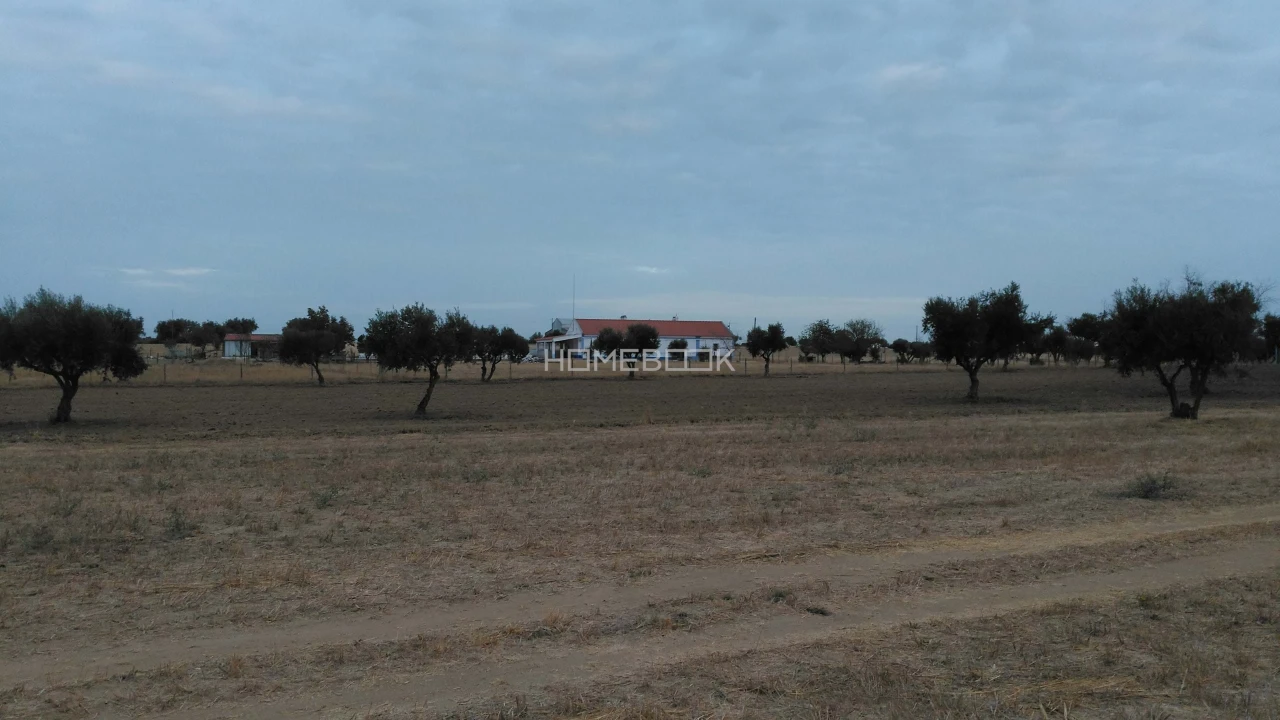 Quinta T3 para Venda em São Manços e São Vicente do Pigeiro Foto 31
