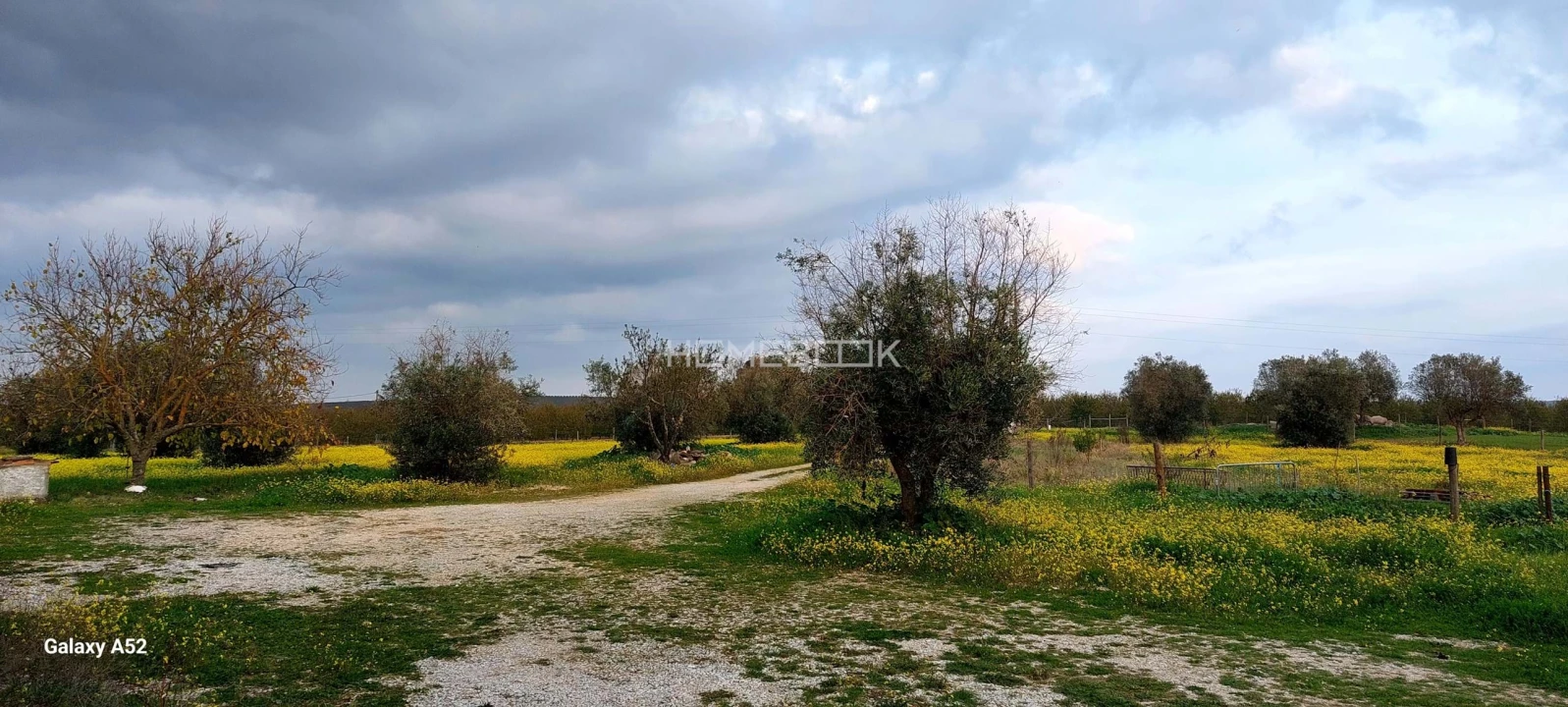 Quinta T3 para Venda em São Manços e São Vicente do Pigeiro Foto 11