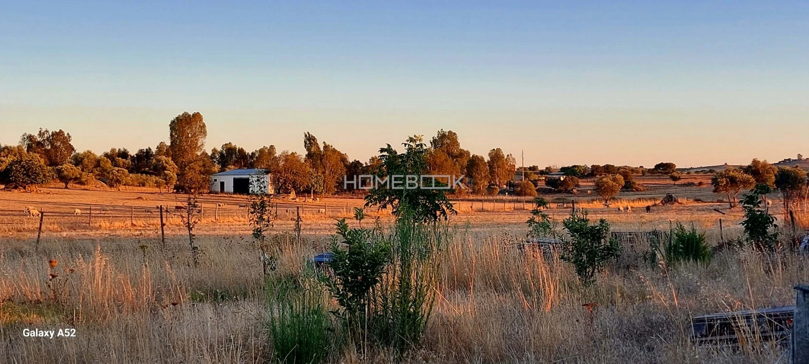 Quinta T3 para Venda em São Manços e São Vicente do Pigeiro Foto 8