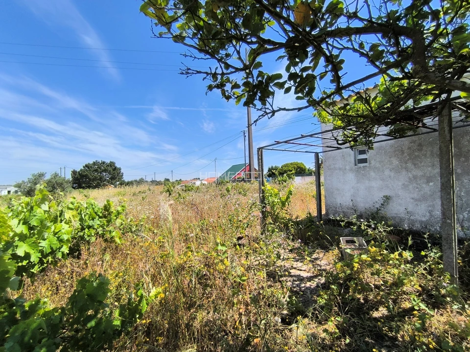 Terreno para Venda em Gambia-Pontes-Alto da Guerra Foto 8