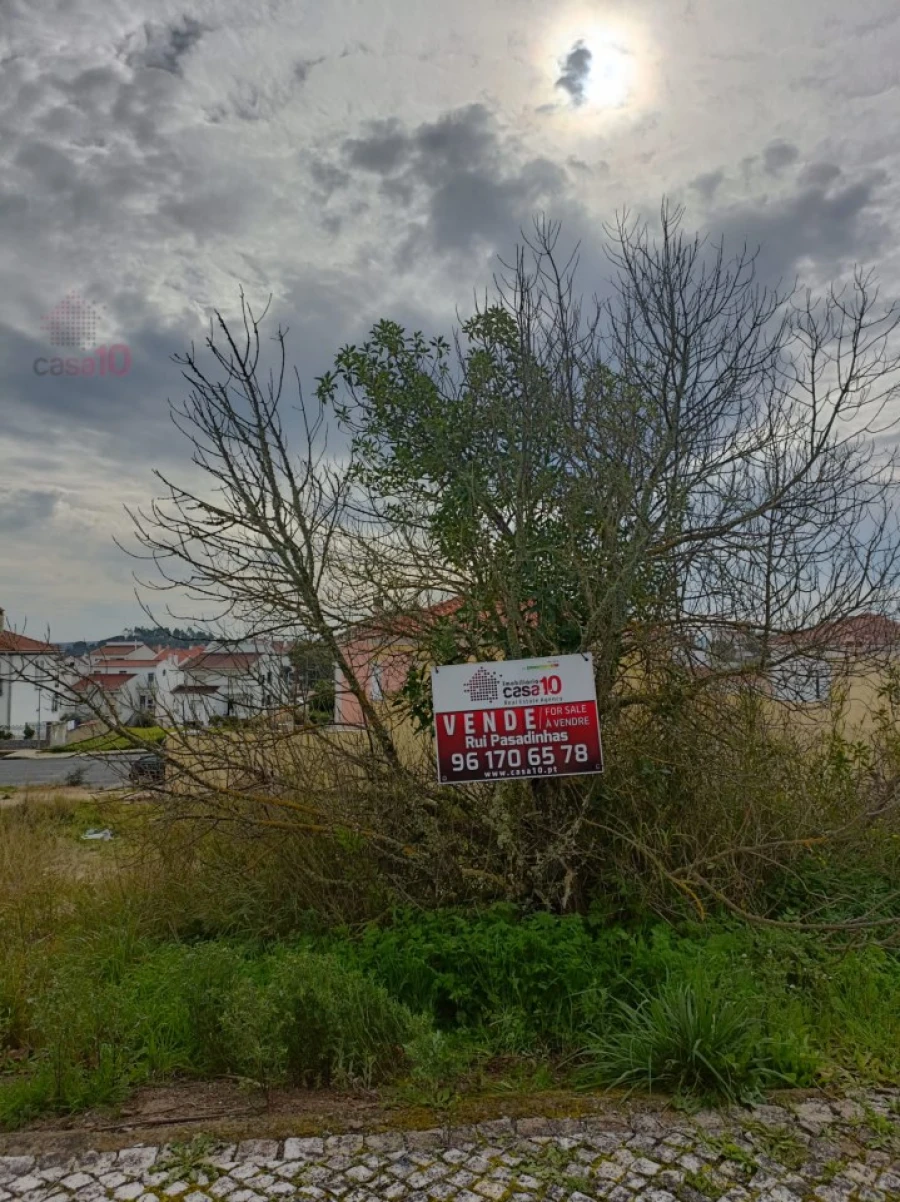 Terreno para Venda em Almodôvar e Graça dos Padrões Foto 3