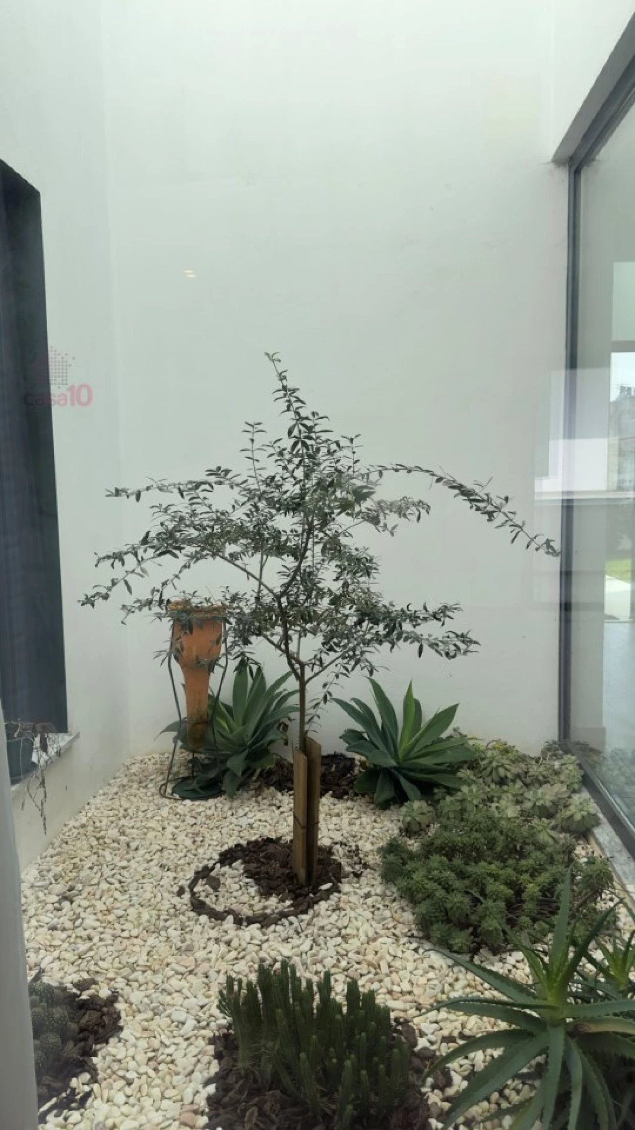 Moradia T4 para Venda em Beja (Santiago Maior e São João Baptista) Foto 12