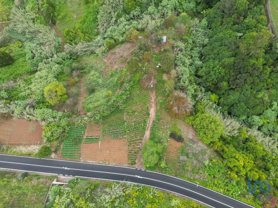Terreno para Venda em Arco de São Jorge Foto 3