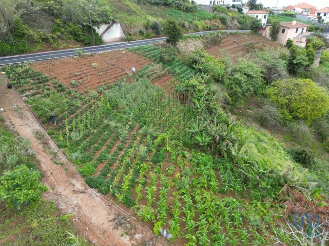 Terreno para Venda em Arco de São Jorge Foto 9