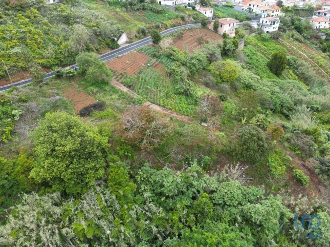Terreno para Venda em Arco de São Jorge Foto 11
