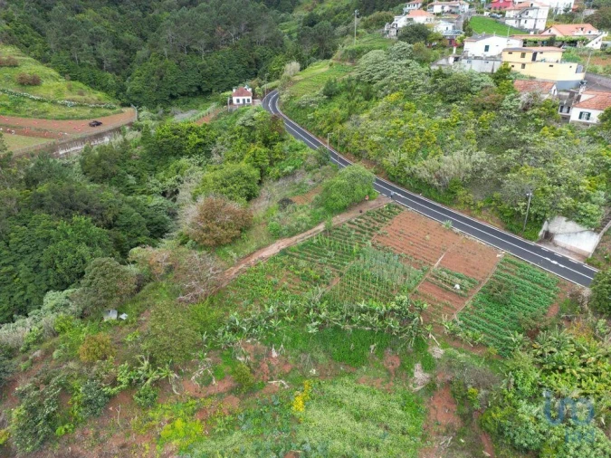 Terreno para Venda em Arco de São Jorge
