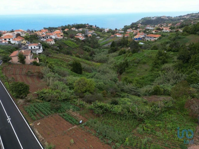 Terreno para Venda em Arco de São Jorge Foto 2