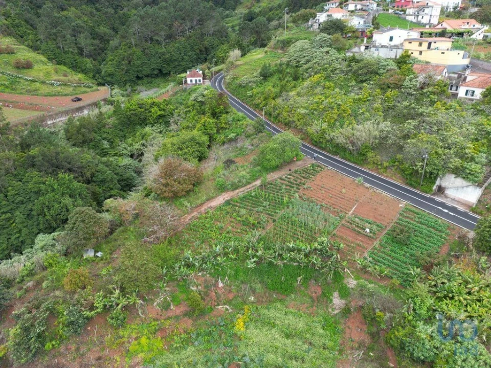 Terreno para Venda em Arco de São Jorge Foto 1