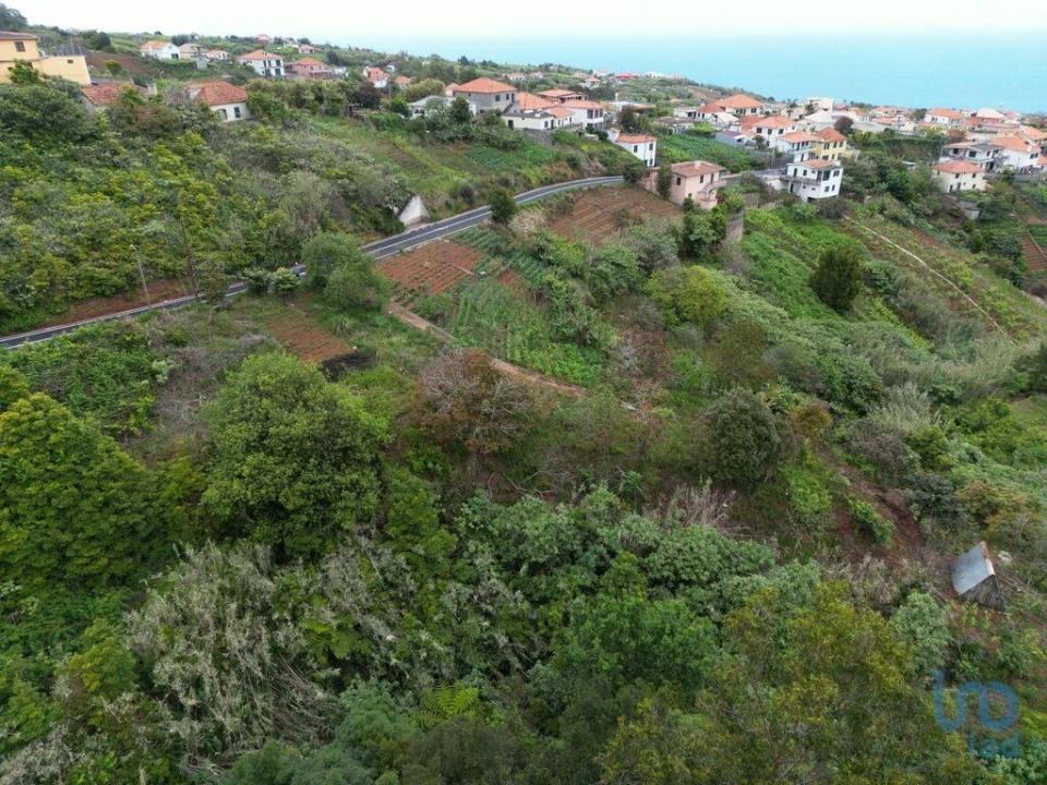 Terreno para Venda em Arco de São Jorge Foto 5