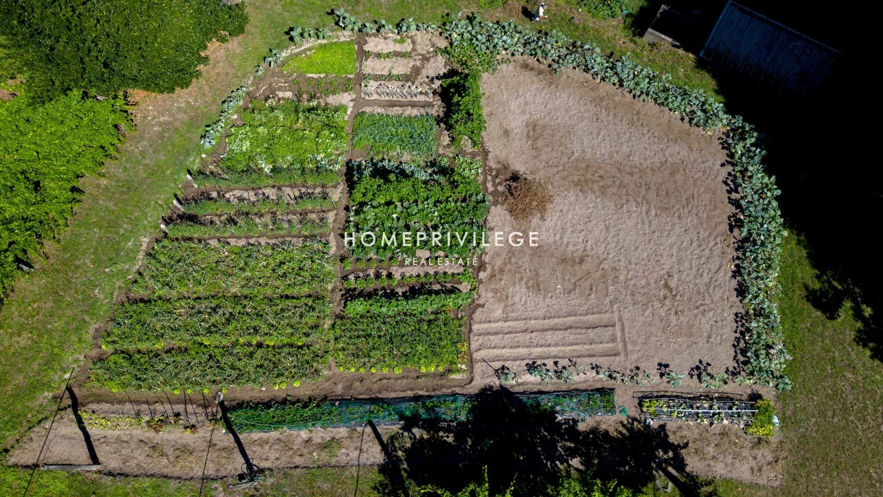 Quinta T6 para Venda em Antime e Silvares (São Clemente) Foto 86