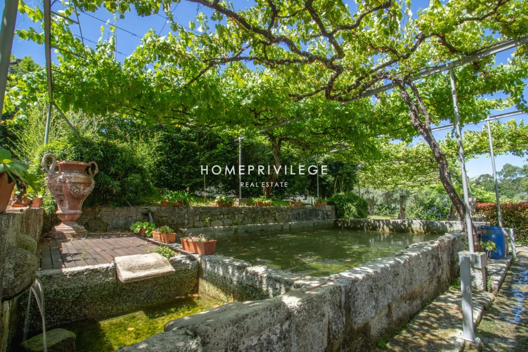 Quinta T6 para Venda em Antime e Silvares (São Clemente) Foto 33