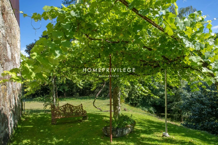 Quinta T6 para Venda em Antime e Silvares (São Clemente) Foto 27