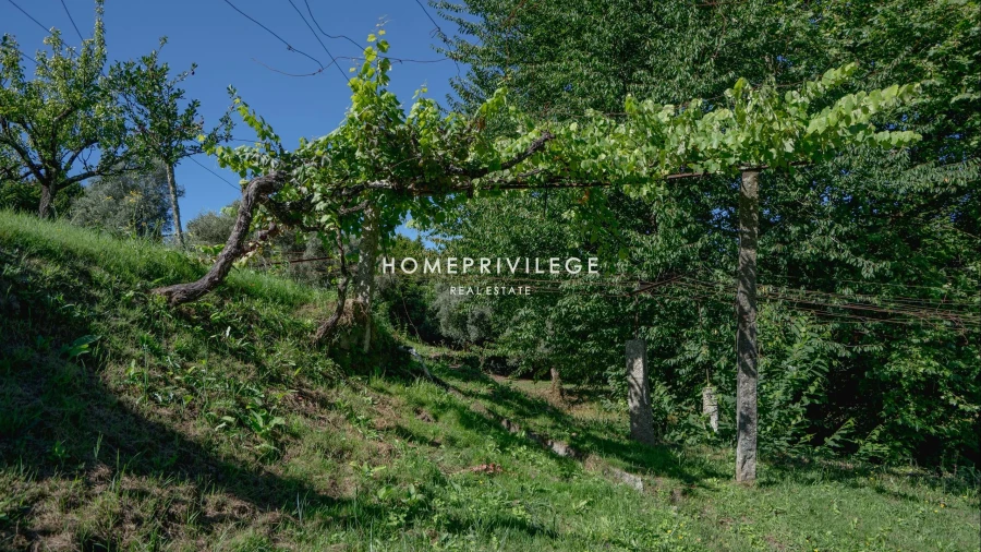 Quinta T6 para Venda em Antime e Silvares (São Clemente) Foto 13