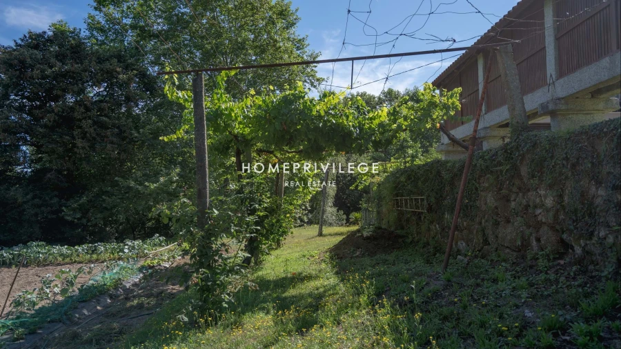 Quinta T6 para Venda em Antime e Silvares (São Clemente) Foto 14