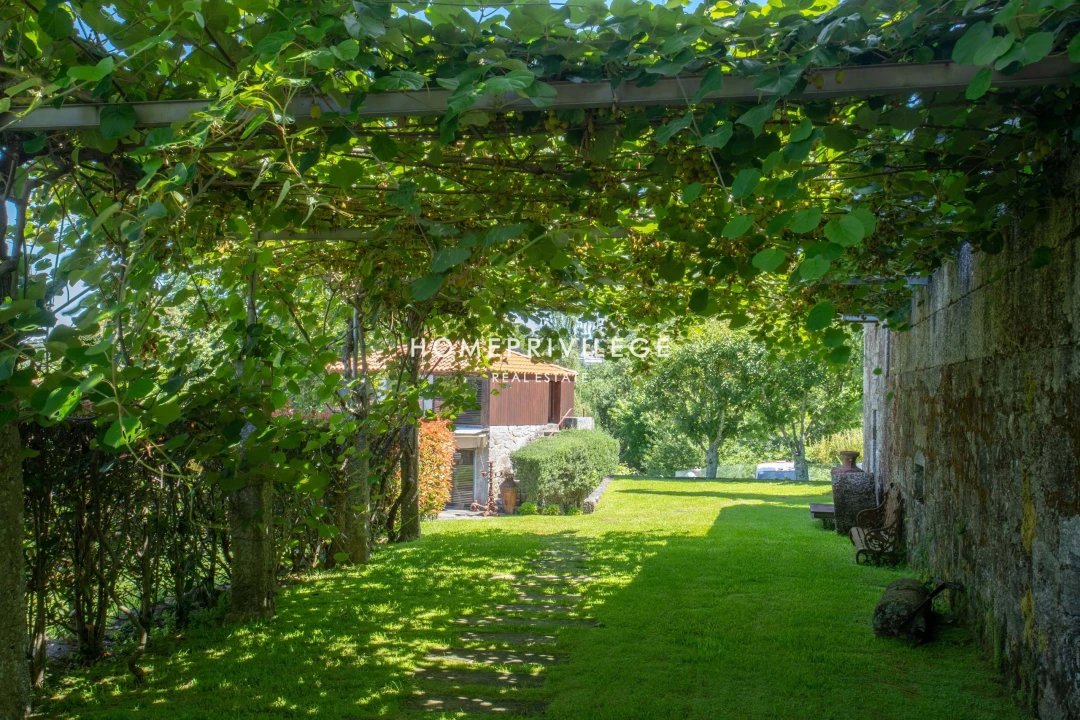 Quinta T6 para Venda em Antime e Silvares (São Clemente) Foto 34