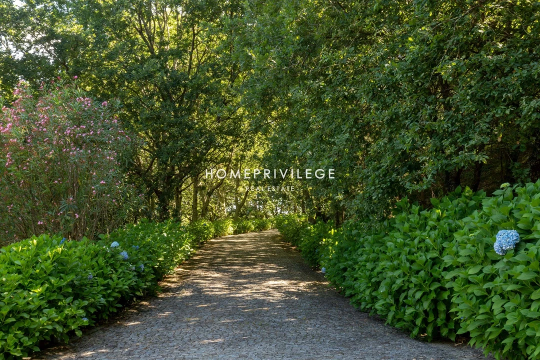 Quinta T6 para Venda em Antime e Silvares (São Clemente) Foto 29
