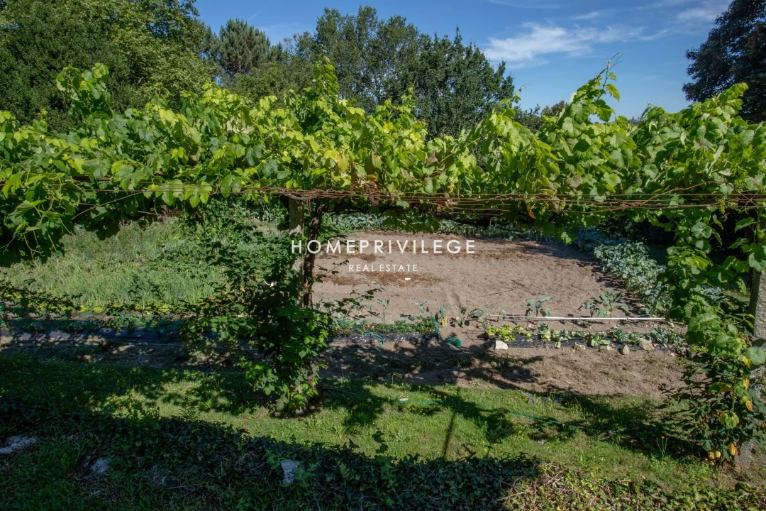 Quinta T6 para Venda em Antime e Silvares (São Clemente) Foto 19