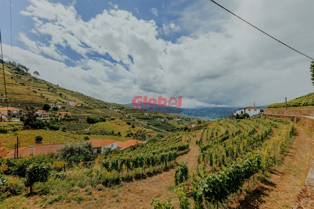 Moradia T7 para Venda em Lobrigos (São Miguel e São João Baptista) e Sanhoane Foto 1