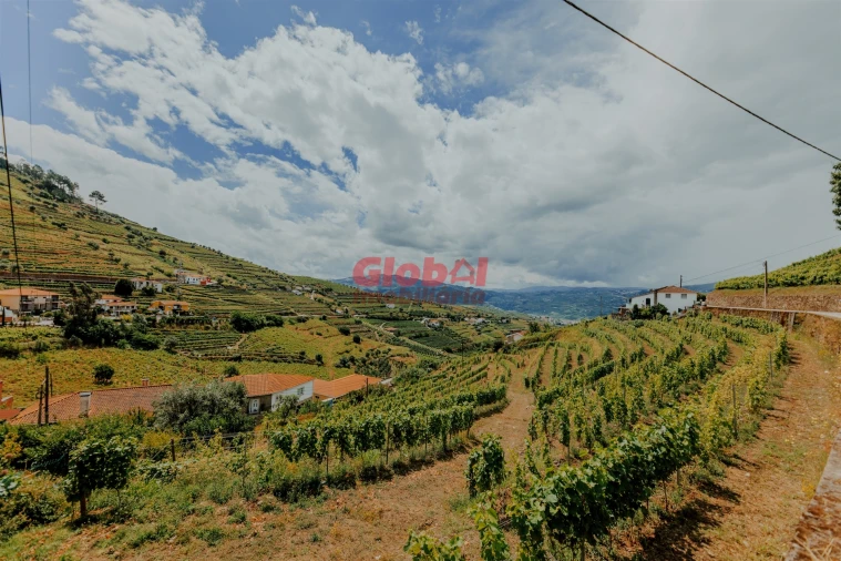 Moradia T7 para Venda em Lobrigos (São Miguel e São João Baptista) e Sanhoane