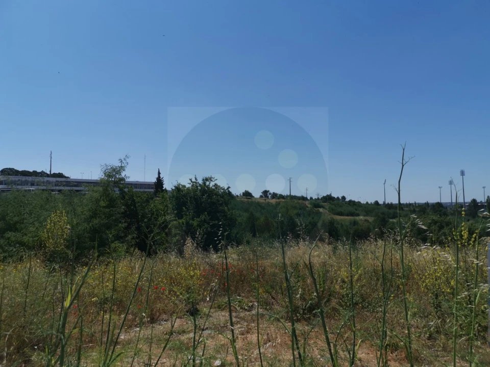 Terreno para Venda em Abrantes (São Vicente e São João) e Alferrarede Foto 3