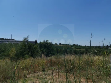 Terreno para Venda em Abrantes (São Vicente e São João) e Alferrarede