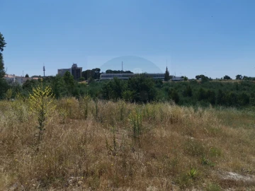 Terreno para Venda em Abrantes (São Vicente e São João) e Alferrarede